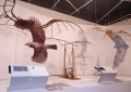 Exposição apresenta lado projetista de Leonardo Da Vinci: Um dos destaques da mostra Leonardo Da Vinci