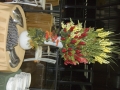 fotografias_2009_20121108_1301099716
