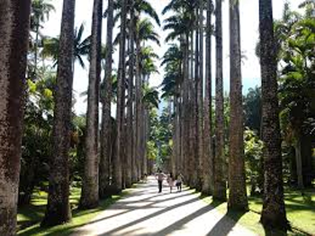 Jardim Botânico do Rio terá área registrada em cartório e retirará moradores