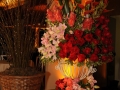 fotografias_noite_dourada_2011_20121108_1491785775