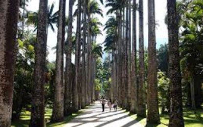 Jardim Botânico do Rio terá área registrada em cartório e retirará moradores